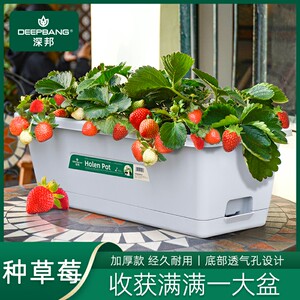 阳台种植花盆家庭种菜专用箱长方形塑料懒人种花神器家用草莓盆