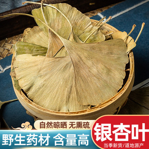 中药材银杏叶银杏叶干 特级银杏叶茶500克散装搭配银杏叶养生茶