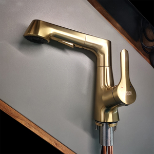 德国汉斯贝朗旋转抽拉式面盆龙头枪灰黑色拉丝金升降冷热伸缩洗头