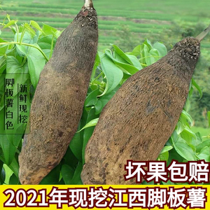 江西脚板薯白色大薯5斤包邮赣南紫山药毛薯农家新鲜蔬菜现挖山药