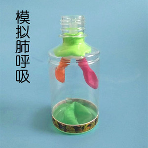 人体器官科学小发明模拟肺的呼吸手工制作材料diy实验教学模型