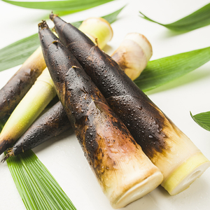 现挖当季小春笋5斤新鲜蔬菜竹笋春笋尖嫩笋新鲜采摘现挖现发