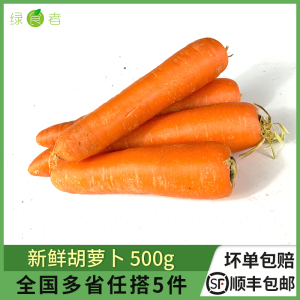 新鲜大胡萝卜500g 时令蔬菜红萝卜生吃甜脆炒菜配料食材蔬菜