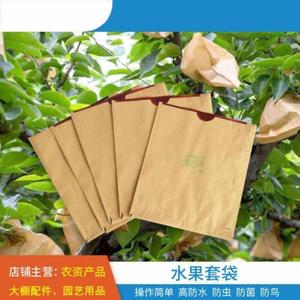 百香果防雨防水套加厚纸两层果树包装枇杷代环保水果专用套袋果实
