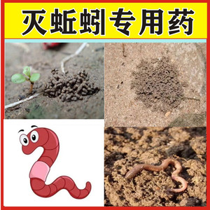 蚯蚓烤干机