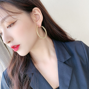 爆款耳环显脸小适合大脸带的耳饰2021年新款圆脸女显瘦大耳垂的