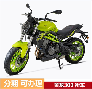 benelli/贝纳利 bj300gs-3 _ 贝纳利蓝宝龙302s摩托车街车跑车机车四