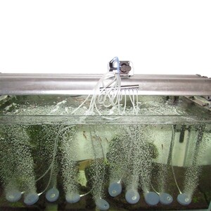 蓝宝大气量高压静音增氧泵鱼缸鱼池气泵海鲜池氧气泵充氧泵增氧机