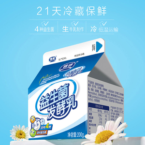 银桥酸奶整箱批特价鲜牛乳益生菌乳酸菌原味儿童早餐牛奶200ml*12