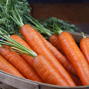 正宗水果胡萝卜生吃甜脆水果型新鲜红心沙窝红萝卜蔬菜10斤潍坊