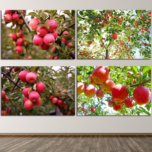 红苹果餐厅装饰挂画苹果树田园风景画硕果累累丰收图客厅卧室贴画