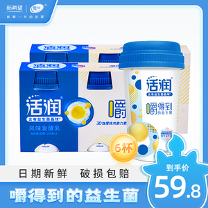 新希望雪兰活润晶球低温酸奶169g*原味6瓶生牛乳低温发酵冷链运输