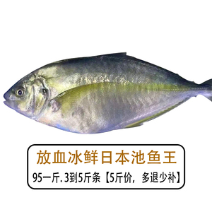 池鱼王产地图片