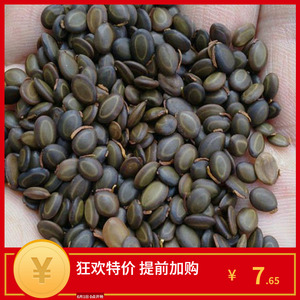 优质新台湾相思种子 台湾柳相思树种子 马占相思树种籽洋桂花种子