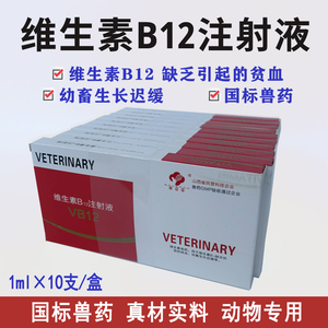 兽药维生素B12注射液猪牛羊宠物狗猫用神经炎贫血生长迟缓Vb12针