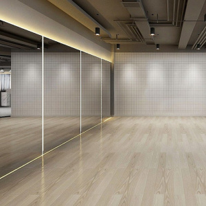 舞蹈房练舞镜子家用