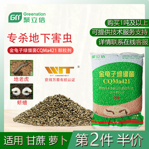 聚立信2亿孢子/克金龟子绿僵菌cqma421地老虎杀虫剂