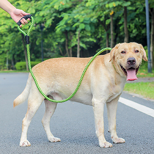 狗狗牵引绳拉多金毛防爆冲狗绳 p链加粗加长中大型犬狗链子遛狗绳