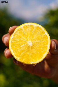 小橙子水果新鲜孕妇