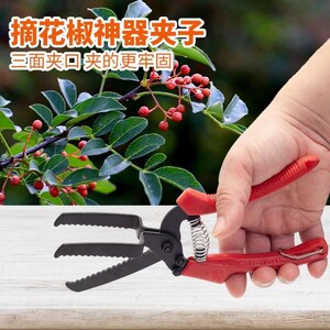 摘花椒神器专用工具夹子防止被刺摘花椒夹子神器摘花椒夹子神器摘