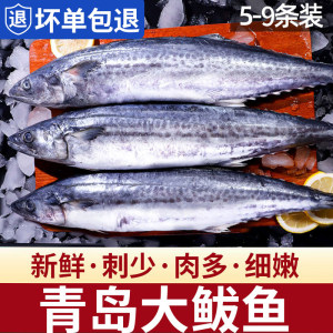 青岛大鲅鱼鲜活5斤冷冻新鲜深海鱼水产整条海捕特大马鲛鱼水饺子