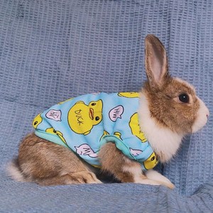 宠物兔兔春秋衣服