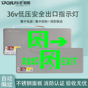 东君A型集中电源消防疏散指示灯低压36v应急照明灯安全出口标志灯