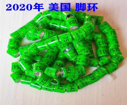 日本购鸽子脚环信鸽用品用具鸽环足环2020年统一环鸽子用品记号d