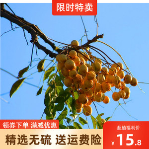 同款货源a936082829淘宝中药材 苦楝子 500克 别