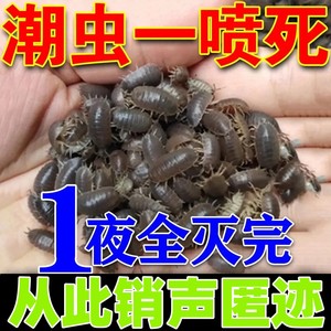 潮虫药家用全窝端室内灭潮虫杀虫剂卫生间去鼠妇除西瓜虫无毒无味