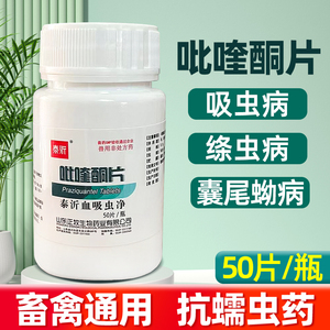 兽药兽用吡喹酮片猪牛羊鸡鸭鹅宠物猫狗驱血吸虫绦虫囊尾蚴病驱虫