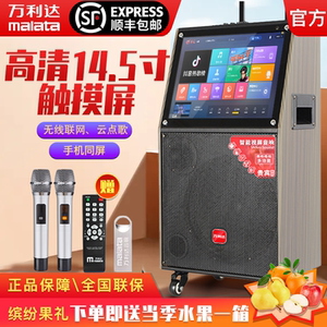 万利达音响话筒一体