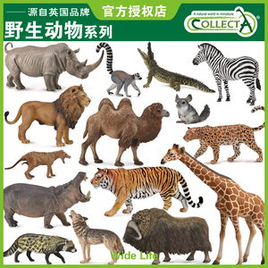 英国CollectA我你他仿真野生动物合集模型玩具认知老虎狮子长颈鹿