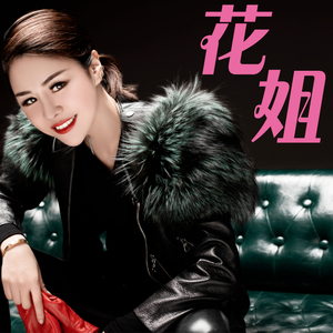 花姐精选cd专辑汽车载音乐光盘狂浪夜之光网络流行热门歌曲无损碟