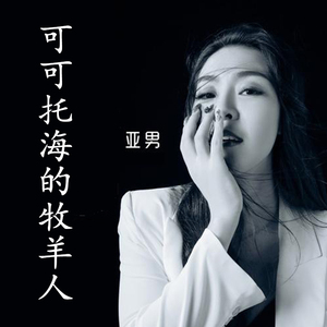 亚男cd专辑 可可托海的牧羊人 热门网红流行歌曲车载无损音乐碟片