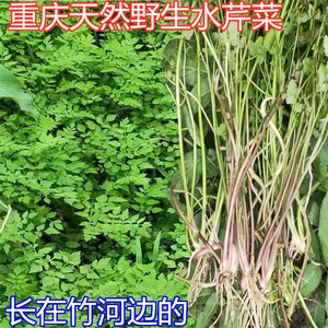 重庆野菜