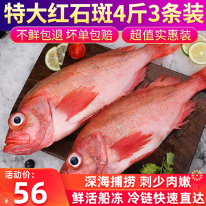 ksonhong2007淘宝【特惠】东星斑鲜活冷冻大龙胆鱼老虎斑深海鱼速冻