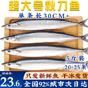 秋刀鱼新鲜深海鱼冷冻商用批发鲜活海鲜水产日式海捕鲜鱼烧烤食材