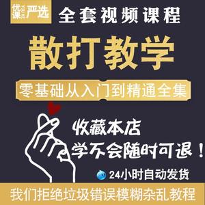 全套散打教学视频武术自学格斗术培训教程街头防身术零基础入门学