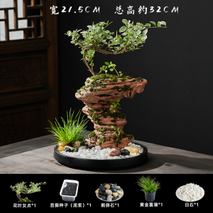 造型上水石假山盆景苔藓种植小石积盆景家居阳台懒人吸水造景摆件