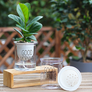 透明懒人花盆双层自动吸水花卉绿植盆栽绿萝专用水培塑料早安盆