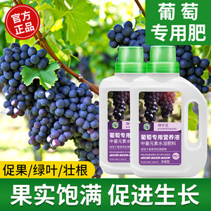 葡萄树专用肥料美人指营养液水果增甜肥施肥有机复合肥高氮水溶肥