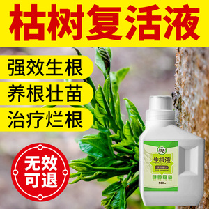 大树复活液生根壮苗剂树木营养液树苗激活液移栽植物活力素吊针液