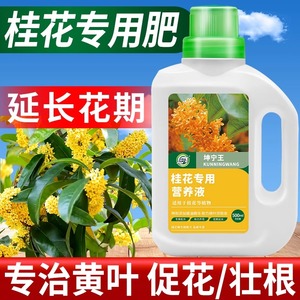 桂花树专用肥料养护营养液家庭园艺四季通用复合肥绿植促花养花