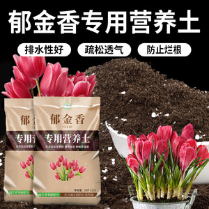 郁金香专用土种球营养土球根通用型花土盆栽养花种花有机种植土壤