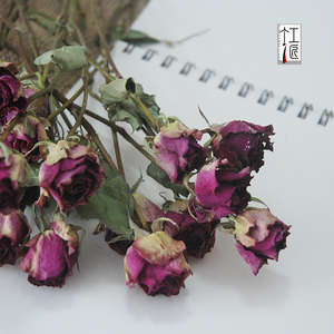 天然风干鲜花玫瑰干花花束蔷薇月季永生花真花家居装饰拍摄道具