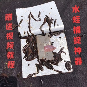 抓水蛭工具捕捉器诱捕蚂蝗蚂蟥神器防滑专用防逃户外东北铺板高效