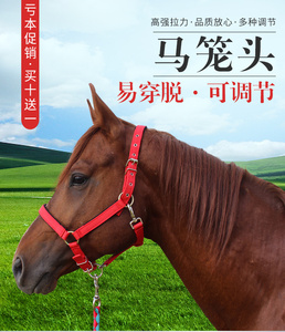 马龙头龙套马笼头嚼子全套马龙套马笼头牛缰绳调教马笼头用品精?
