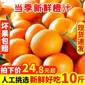 江西赣南伦晚脐橙子新鲜水果10斤应季整箱冰糖甜5夏橙大果20
