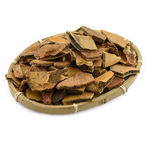 2斤包邮优质中药材炒龟板 龟板 乌龟壳 炙乌龟板 龟甲中草药500克